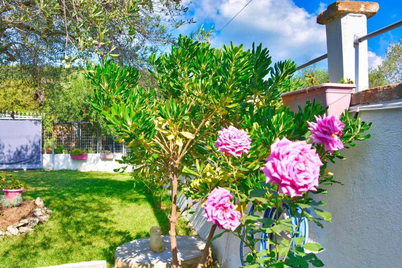 Ninas Cottage Linia Bagian luar foto